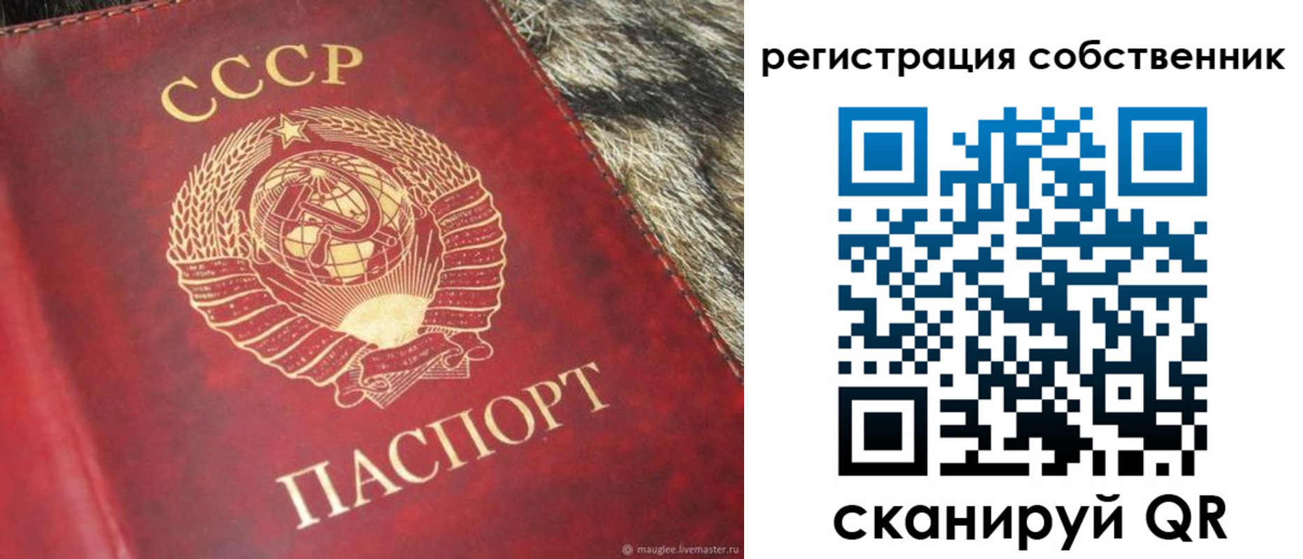 временная регистрация надежно в Завитинске